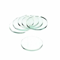 Clear Base Round 25x3mm (10)