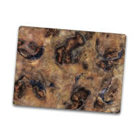 Havoc Desert 44"x60"