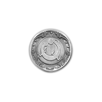 Coin Tsa large
