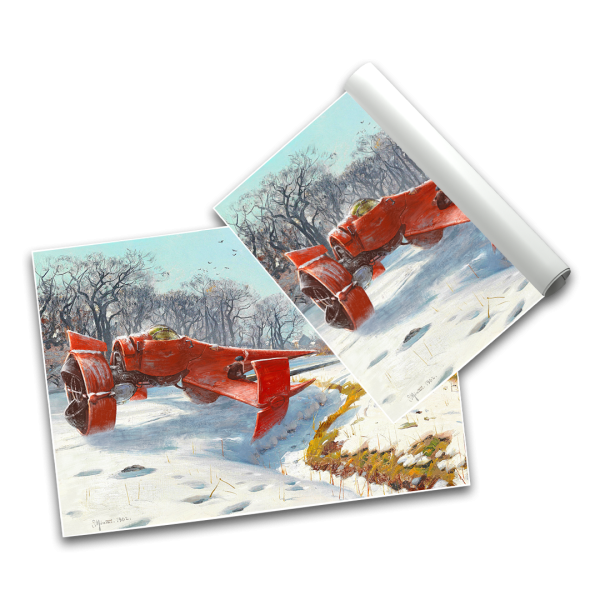 Swordfish - Poster A2