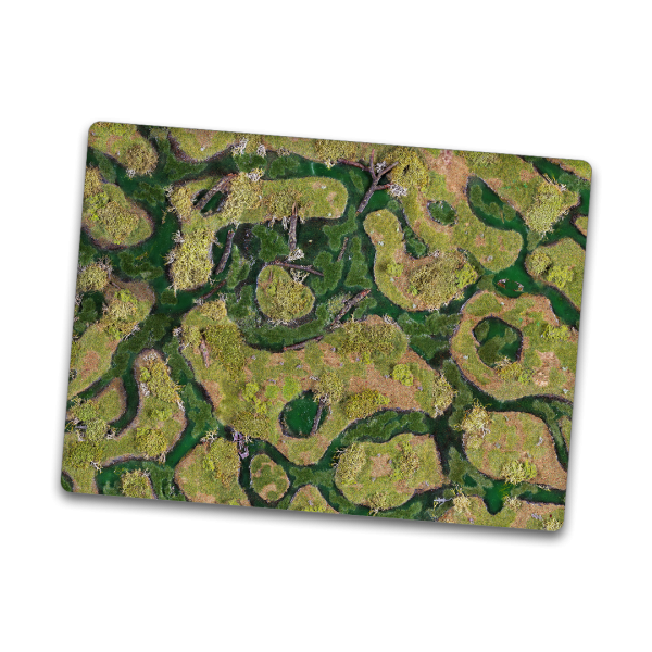 Forsaken Swamp 44"x60"