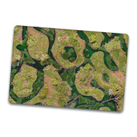 Forsaken Swamp 44"x30"