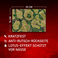 Forsaken Swamp 44"x30"