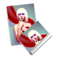 Best Friends - Poster A2