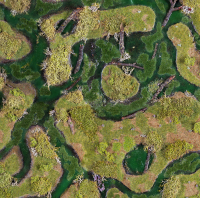 Forsaken Swamp 3x3
