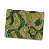 Forsaken Swamp 22"x30"