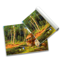 Catbus and Friends - Poster A3