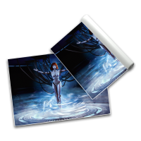 Sinheresey - Poster A2 landscape