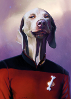 Picard - Postkarte