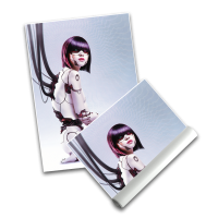 Al Akira - Poster A3