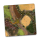 Meadows Creek 3x3