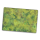 Grass Plain 6x4