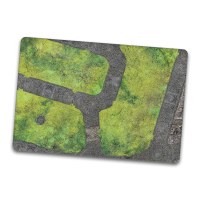 Cobblestone Park 44"x30"