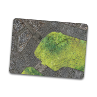 Cobblestone Park 22"x30"