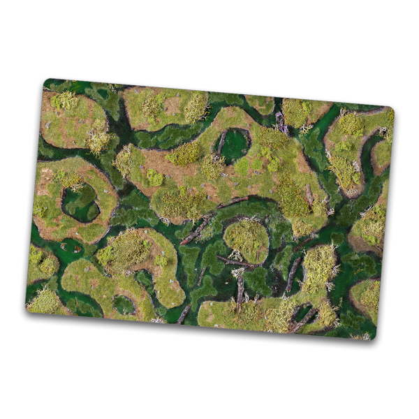 Forsaken Swamp 36"x54"