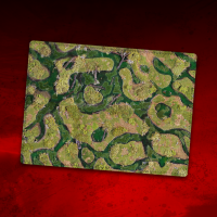 Forsaken Swamp Deployment Zones 44"x60"