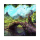 Wizards Path 50x50 cm