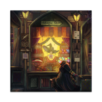 Witchs Shop 50x50 cm