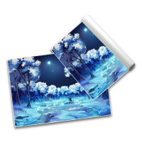 Frozen Forest - Poster A3